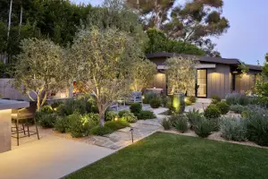 Beautiful outdoor landscape lighting illuminating a residential garden at night